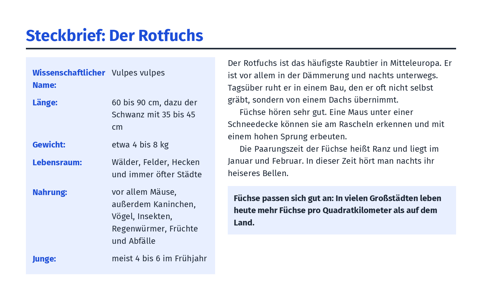 Textbild „Der Rotfuchs“, erste Fassung